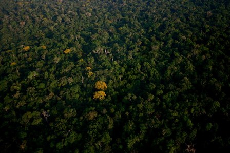Amazonie : les enjeux d’un massacre