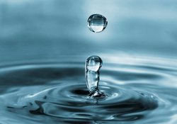 A quoi sert le Forum mondial de l’eau ?