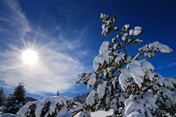 Ski vs soleil : le match des vacances de février