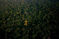 Amazonie : ça ne s’arrange pas
