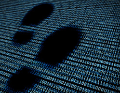 30 % des bébés ont une empreinte numérique avant même de naître 30 % des bébés ont une empreinte numérique avant même de naître