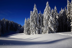 Vacances : 58,4 % de réservations en moins par rapport à 2020 Vacances : 58,4 % de réservations en moins par rapport à 2020