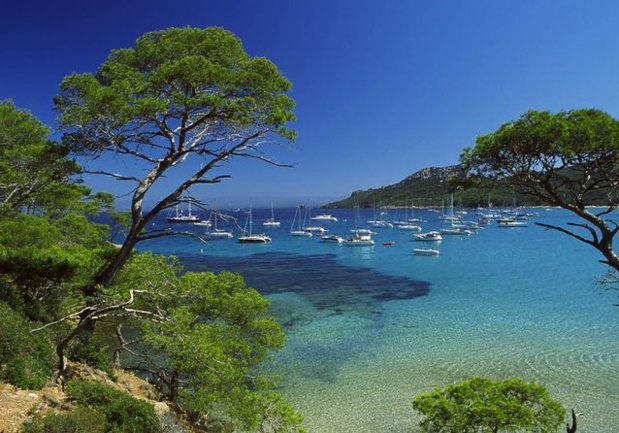 Que vont faire les Français pendant ces vacances ? Que vont faire les Français pendant ces vacances ?