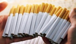 Politique antitabac : les professionnels du secteur fortement touchés Politique antitabac : les professionnels du secteur fortement touchés