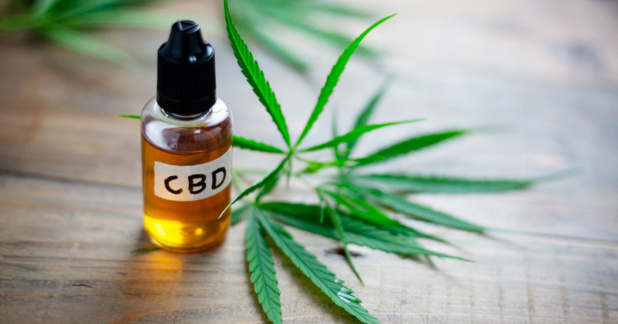 54 % des français approuvent la vente de CBD sous forme de fleurs et de feuilles 54 % des français approuvent la vente de CBD sous forme de fleurs et de feuilles