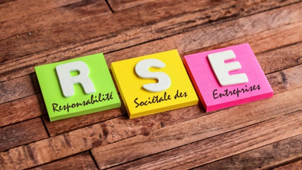 Les TPE et PME françaises moins impliquées dans les stratégies RSE Les TPE et PME françaises moins impliquées dans les stratégies RSE