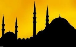 Finance islamique : les techniques du droit français Finance islamique : les techniques du droit français