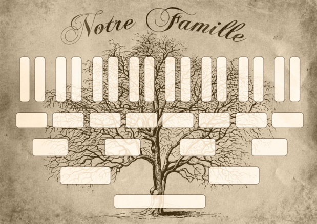 7 Français sur 10 sont intéressés par la généalogie 7 Français sur 10 sont intéressés par la généalogie