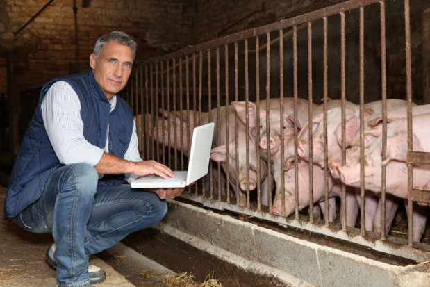 Crédit : éleveur de porc par Shutterstock Crédit : éleveur de porc par Shutterstock