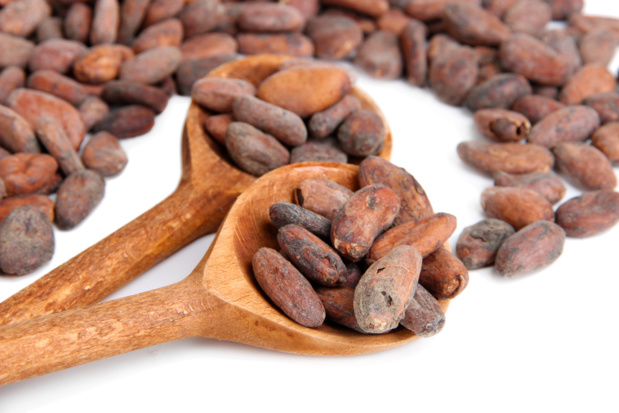 Crédit photo : cacao par Shutterstock Crédit photo : cacao par Shutterstock