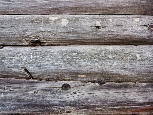 Crédit : bois par Shutterstock Crédit : bois par Shutterstock