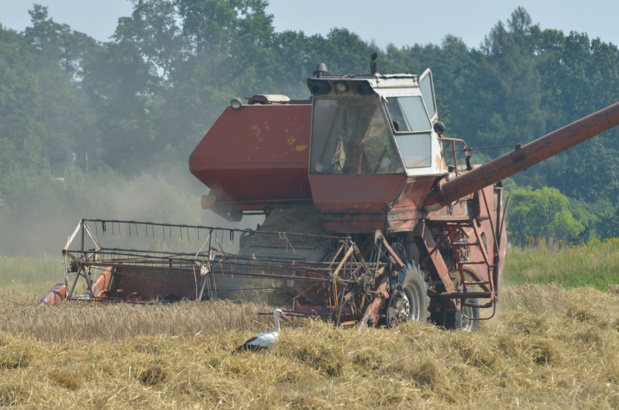Crédit : agriculture par Shutterstock Crédit : agriculture par Shutterstock