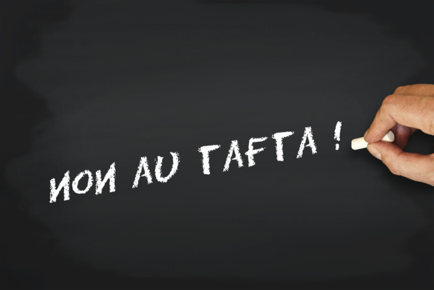 Crédit : Tafta par Shutterstock Crédit : Tafta par Shutterstock