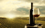 Les vins bio sont-ils de meilleure qualité ?