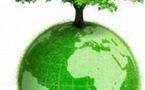 Green business : les investissements verts ne connaissent pas la crise